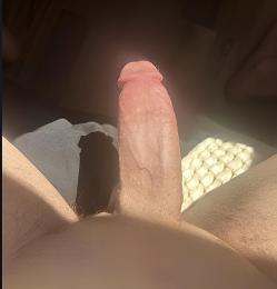 SealsGoBarq photo 2